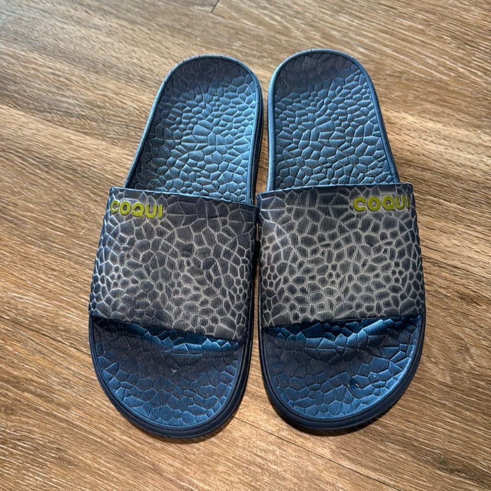 coqui blue slides